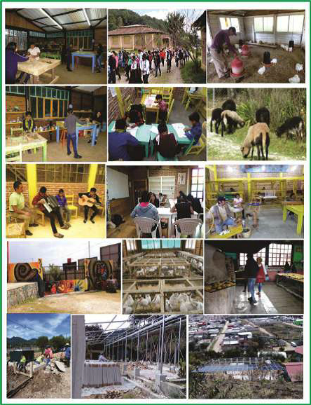 Imagen B. EDUCACIÓN PARA EL DESARROLLO SOSTENIBLE. JUNTOS SUMAMOS MÁS