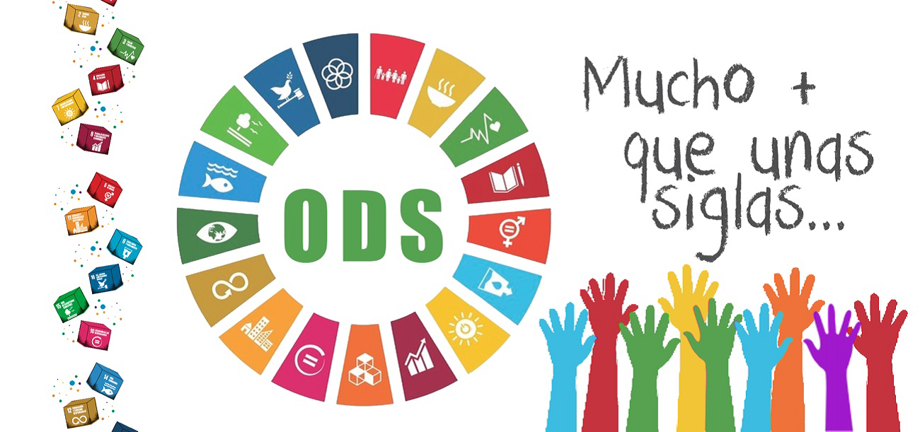 Imagen B. Educando a una nueva ciudadanía, comprometida con los ODS