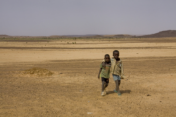 Imagen C. Prevención y respuesta a la violencia sexual y de género contra niñas, niños y adolescentes en Mauritania