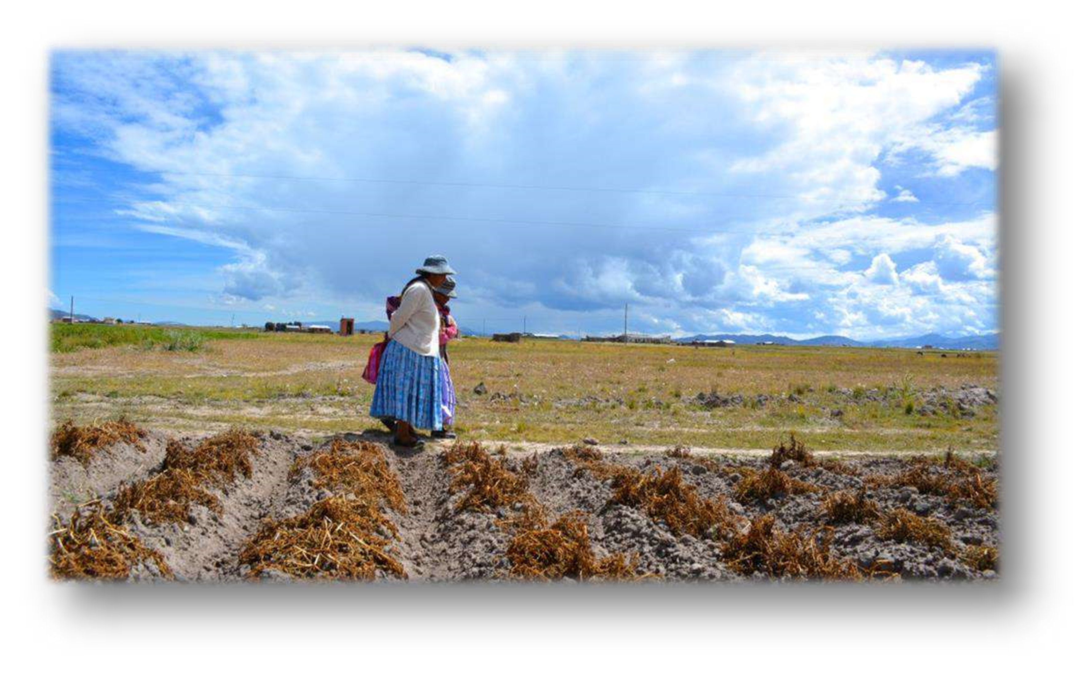 Imagen A. Seguridad alimentaria sostenible con el fortalecimiento de organizaciones comunales, generación de oportunidades de autoempleo y equidad de género en la comunidad de Cahuayuma del Altiplano de La Paz - Bolivia