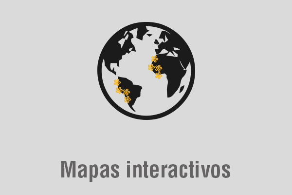 Ir al Mapa interactivo